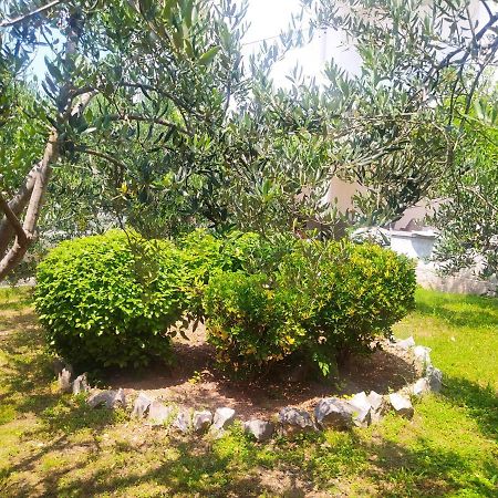 Apartmani Trubi 2 Vodice Exterior photo
